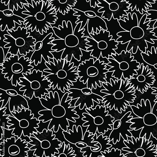 The chamomile flower. Contours of daisies for textiles. Seamless floral texture white of Daisy flower, black abstract background, EPS 8, vector.