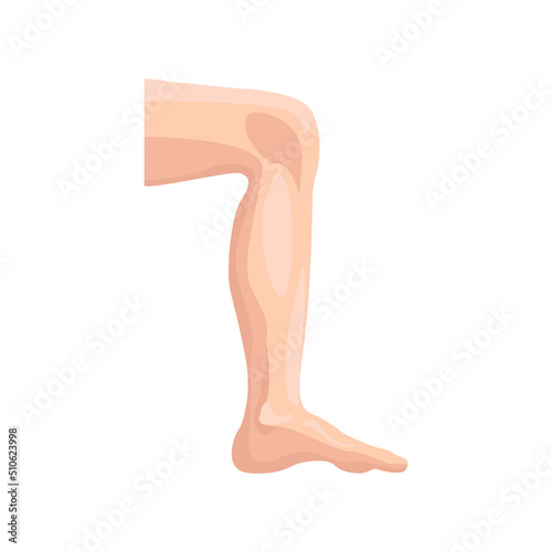 Male leg flat icon. Colored vector element from body parts collection. Creative Male leg icon for web design, templates and infographics.