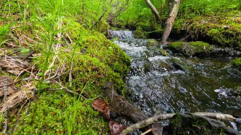 Fast moving water in a small forest creek as water rolls over rocks. Fast moving water in a small forest creek as water rolls over rocks.