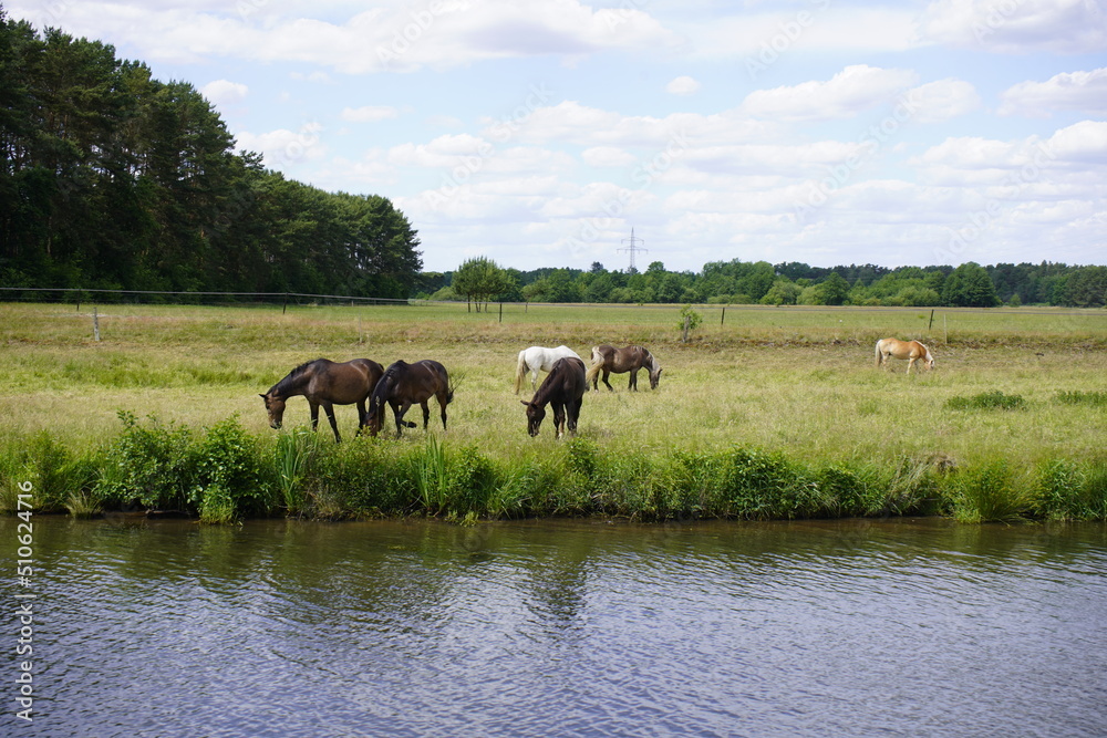 Impressions from a boat trip on the river Aller between Celle and Winsen. Lower Saxony, Germany Impressions from a boat trip on the river Aller between Celle and Winsen. Lower Saxony, Germany