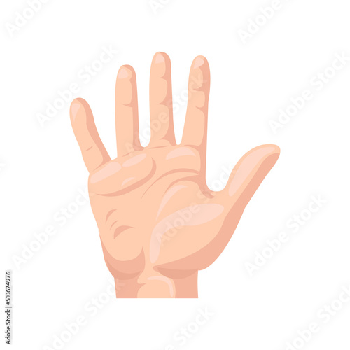 Palm flat icon. Colored vector element from body parts collection. Creative Palm icon for web design, templates and infographics.