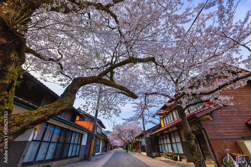 がいせん桜通り(岡山県真庭郡新庄村上町)