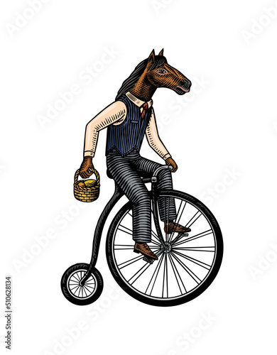 A horse man in a suit rides a bicycle. Food delivery man. Fashion animal character. Hand drawn woodcut outline sketch. Vector engraved illustration for logo and tattoo or T-shirts. photo