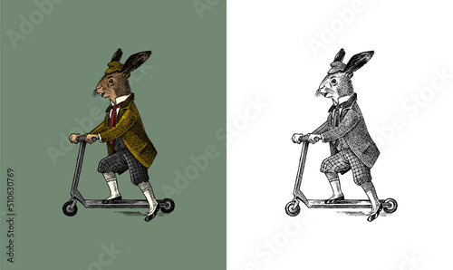 Hare or rabbit rides a scooter. Antique gentleman in a cap and coat. Victorian Ancient Retro Clothing. A man in a suit. Hand drawn old monochrome sketch. Vintage engraving style.