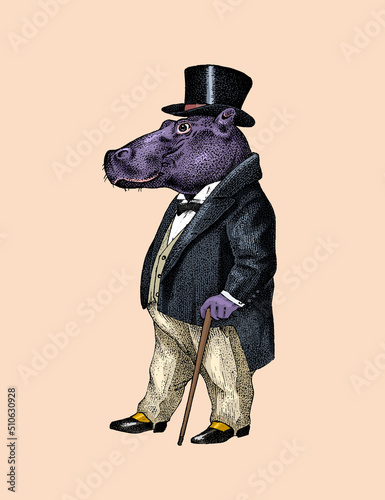 Fashionable hippopotamus. Antique gentleman in a jacket and a top hat. Victorian Ancient Retro Clothing. A man in a suit. Vintage engraving style. Hand drawn old monochrome sketch.