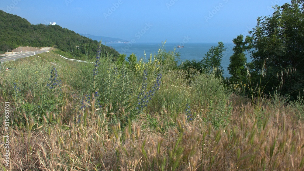 Travel along the Black Sea coast. Beautiful view from above to the endless sea, high mountains, blue sky. A summer day. Travel along the Black Sea coast. Beautiful view from above to the endless sea, high mountains, blue sky. A summer day.