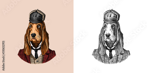 Bloodhound Dog dressed up in suit. Hunting breed. Fashion Animal character in clothes. Hand drawn sketch. Vector engraved illustration for label, logo and T-shirts or tattoo.