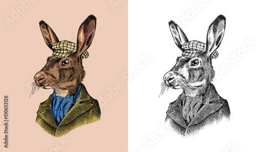 Hare or rabbit. Antique gentleman in a cap and coat. Victorian Ancient Retro Clothing. A man in a suit. Hand drawn old monochrome sketch. Vintage engraving style.