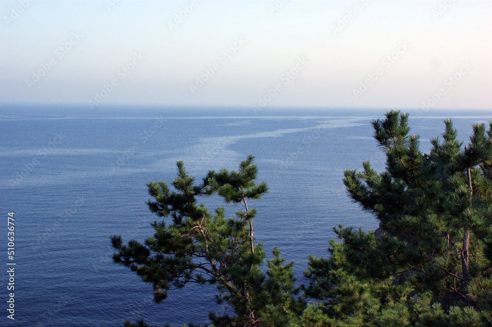 Behind the pine trees, a wide sea stretches out. Behind the pine trees, a wide sea stretches out.