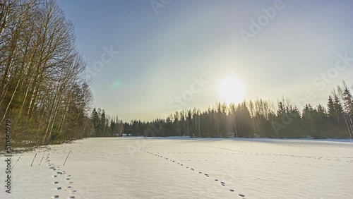 Wallpaper Mural Timelapse shot of beautiful sun halo during sunrise in timelapse over snow covered field surrounded by pine forest. Torontodigital.ca