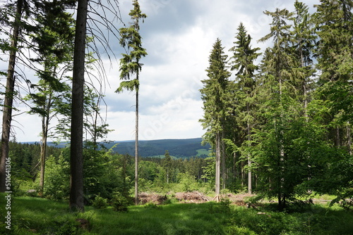 Orlick   Mountains