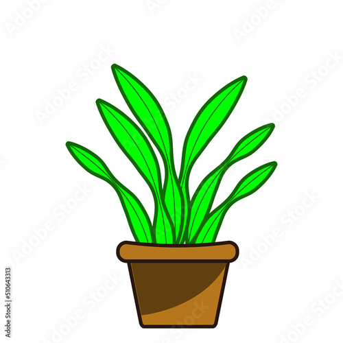 green tongue flower decorative grass plant in pot vector illustration