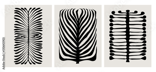 abstract geometric plants leaves, modern wall art graphic prints templates, ink foliage vector illustration