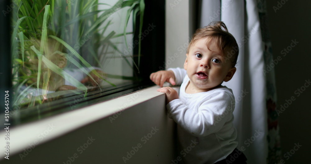 Cute baby boy leaning by window at home. Infant smiling portrait Cute baby boy leaning by window at home. Infant smiling portrait
