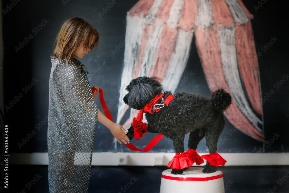 Cute child girl and black poodle dog playing circus. Tent drawn in chalk, dog training