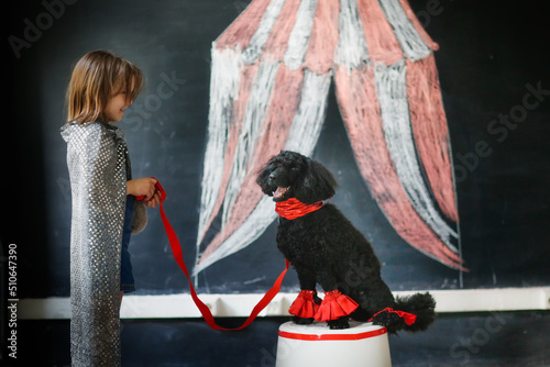 Child arranges performance, chalk drawing and live dog.