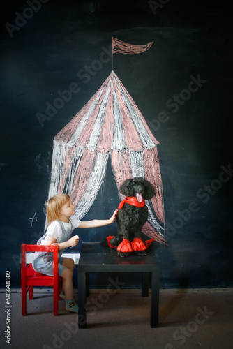 Kid with dog poodle draw circus tent on black chalk board  concept of children s creativity and imagination  copy space