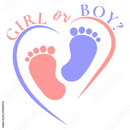 Boy or girl hand drawn modern lettering - Baby shower announcement banner, card - Gender reveal party - Vector illustration isolated