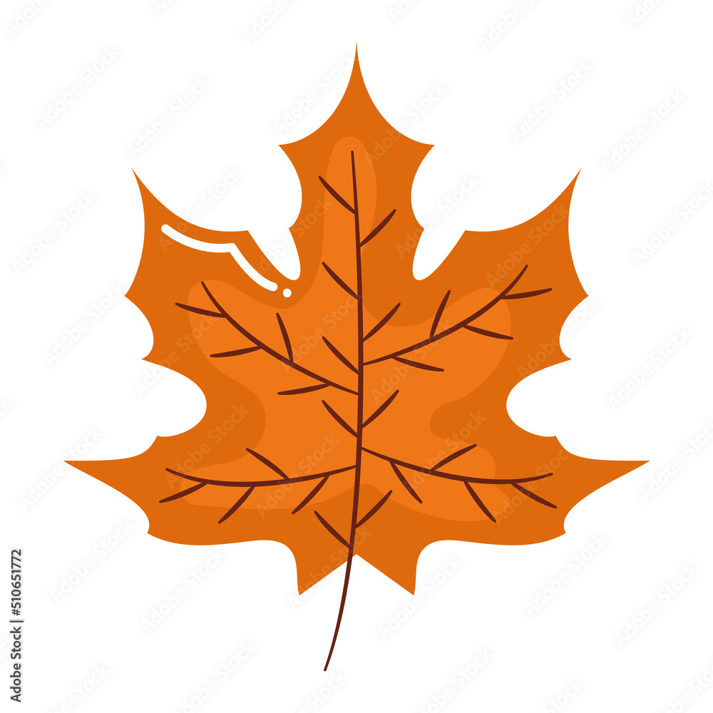 fall leaf illustration fall leaf illustration