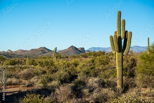 An overlooking view of Lost Dutchman SP, Arizona