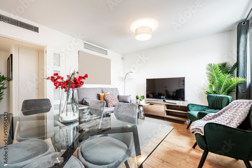 Living room and dining room with gray sofa  large TV on wooden sideboard  silver coffee tables  artificial plants  glass dining table and hardwood floors