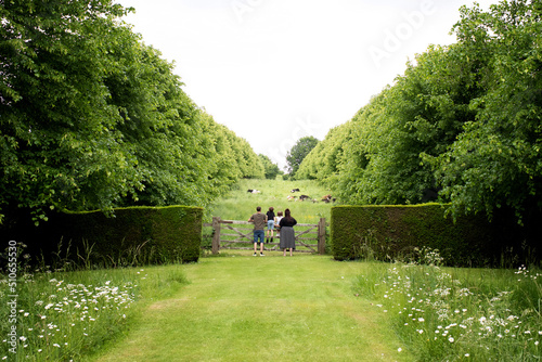 family looking at a beautiful field of cows in the country photo