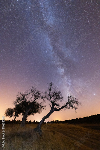 Milky way in tree alentejo portugal photo
