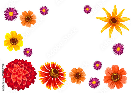 Background with autumn flowers. Beautiful decorative bouquet of blooming plants.