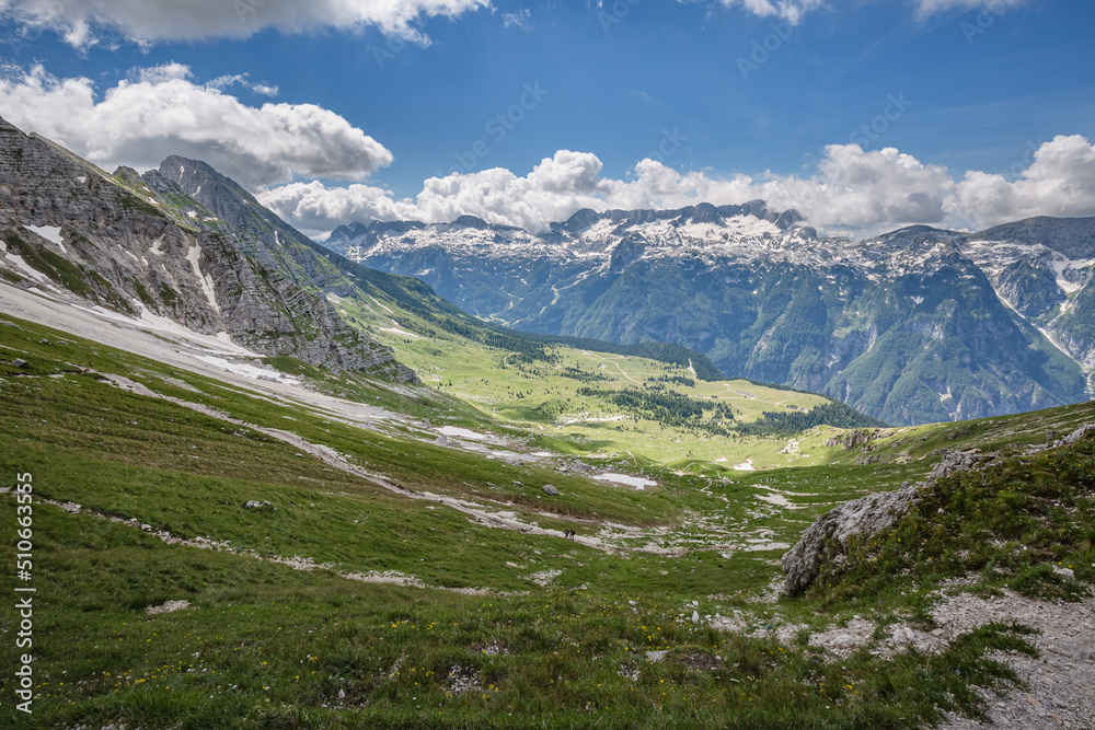 Beautiful nature. Mountain hiking Trail Road. Italy Malga Montasio Forca Disteis