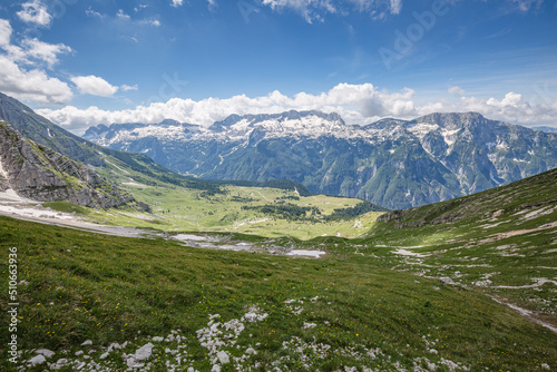 Beautiful nature. Mountain hiking Trail Road. Italy Malga Montasio Forca Disteis © ILLYA