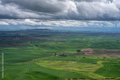 Palouse in Late Spring in Washington State