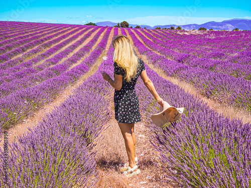 Fototapeta Naklejka Na Ścianę i Meble -  A lavender field in Provence, southern France, with a girl in a floral dress and hat amIdst purple lavender.