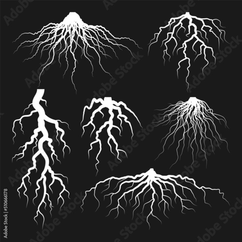 Various realistic tree or shrub roots. Parts of plant, root system with tree stump. Dendrology, study of woody plants. Sketch drawing. Vector illustration