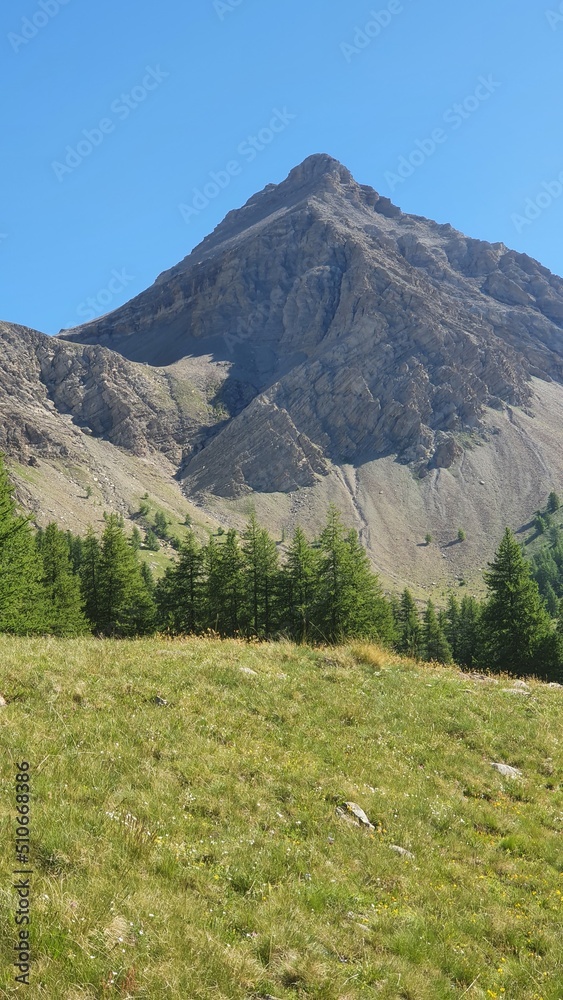 alpes alpes
