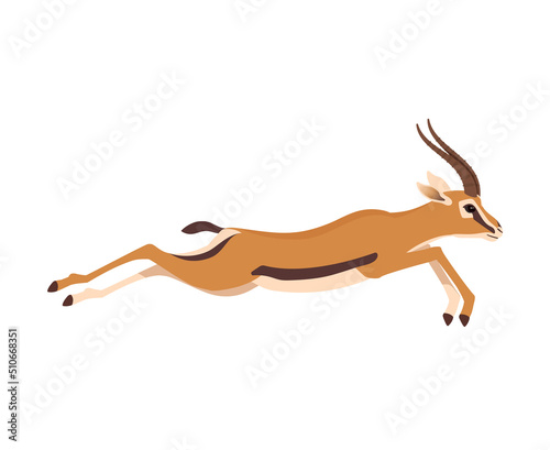 Аfrican wild gazelle running. Vector illustration isolated on white photo