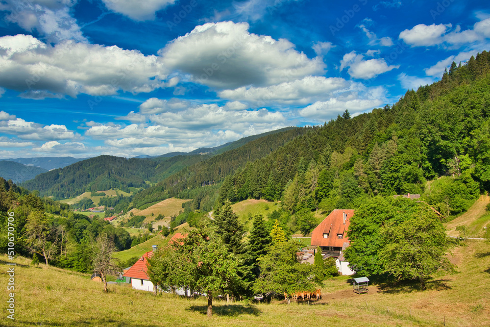 Schwarzwaldlandschaft oberhalb von Hausach