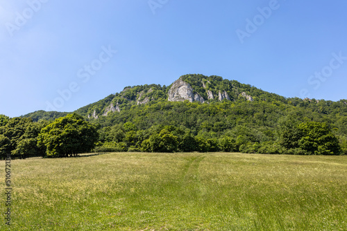 Slovakia summer nature Strazov green tree blue sky photo