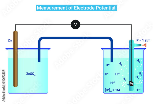 Measurement of Electrode Potential