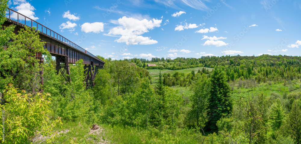 Doube's Trestle Bridge, an old railway bridge that has since been converted into a hiking path, extends across a lush green valley near Peterborough, Ontario. Doube's Trestle Bridge, an old railway bridge that has since been converted into a hiking path, extends across a lush green valley near Peterborough, Ontario.