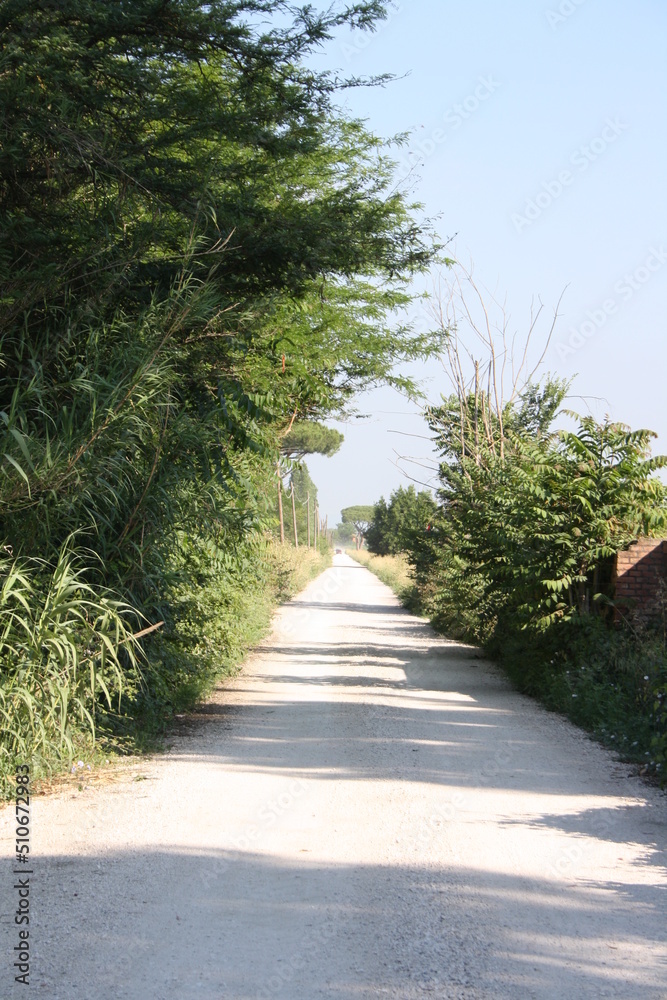 path in the garden