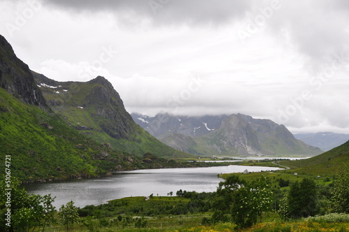 Norway landscape - nature and life