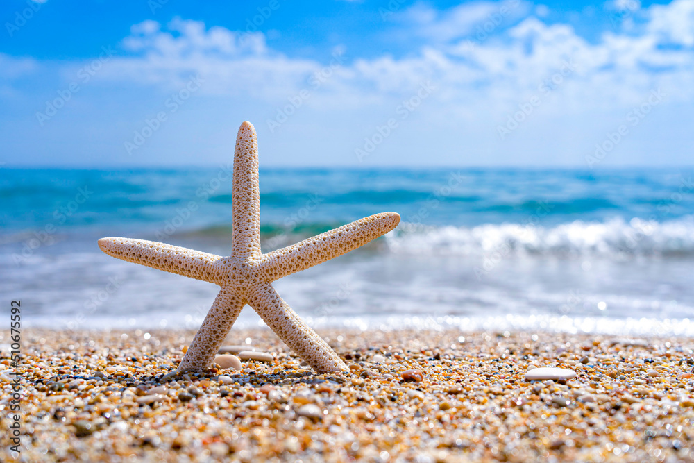 Starfish on a beautiful sandy beach in the Mediterranean Starfish on a beautiful sandy beach in the Mediterranean