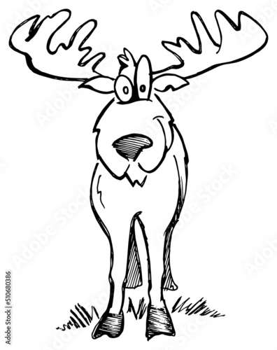 Moose cartoon