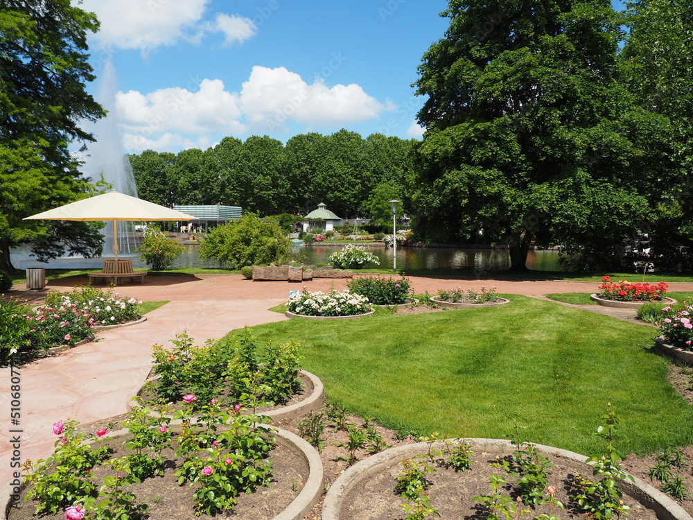 Fototapeta premium Rosengarten in Zweibrücken