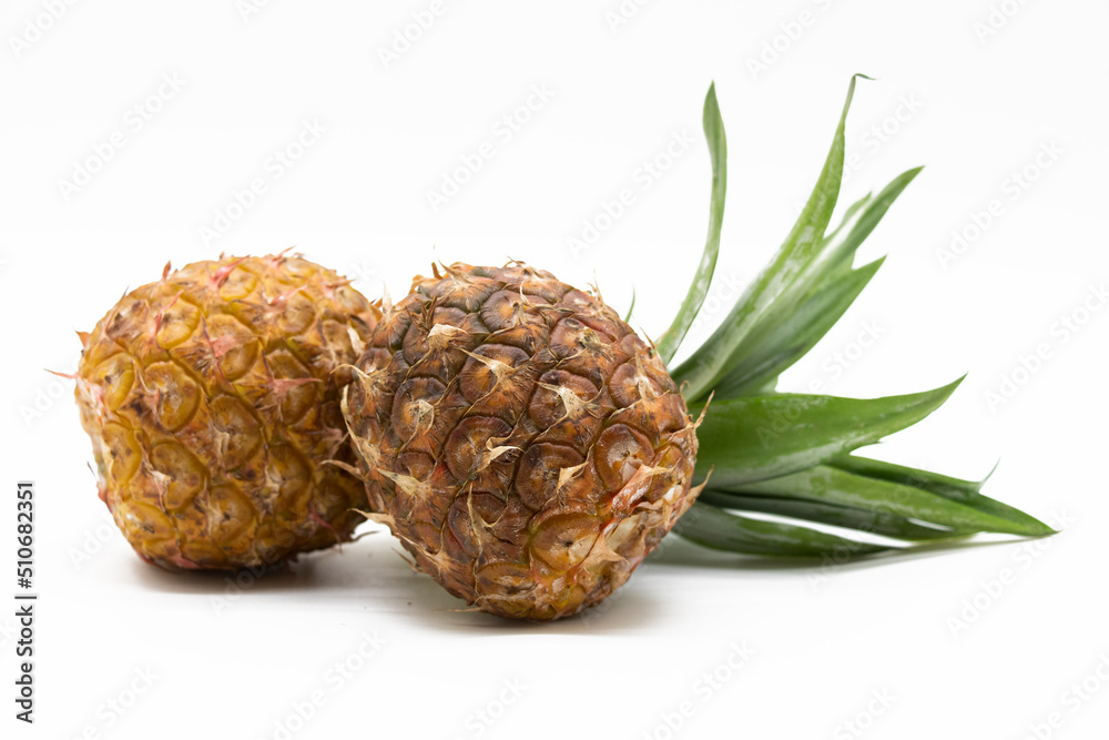 pineapple isolated on white background. pineapple isolated on white background.