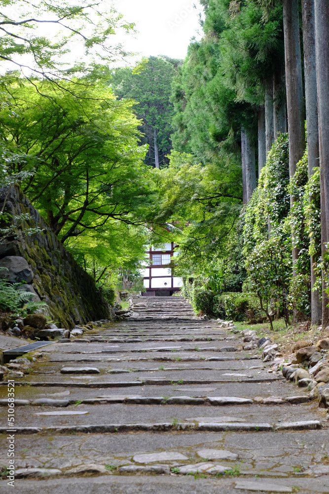 Fototapeta premium 正伝寺の参道