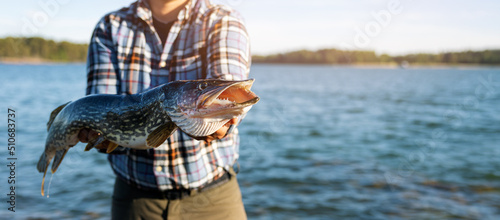 Fotografia angler holding big pike fish in hands on lake background