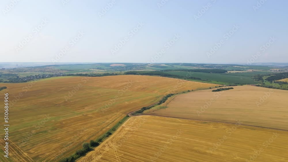 Aerial landscape view of yellow cultivated agricultural field with dry straw of cut down wheat after harvesting Aerial landscape view of yellow cultivated agricultural field with dry straw of cut down wheat after harvesting