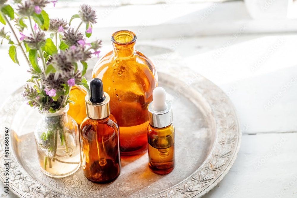 Still life with a bouquet of flowering Clinopodium vulgare, wild basil on an old vintage windowsill with wooden frames Still life with a bouquet of flowering Clinopodium vulgare, wild basil on an old vintage windowsill with wooden frames