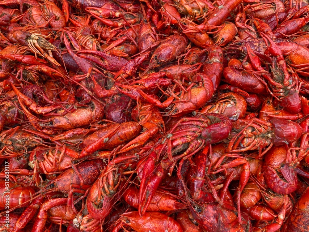Close up of freshly boiled hot Louisiana crawfish Close up of freshly boiled hot Louisiana crawfish